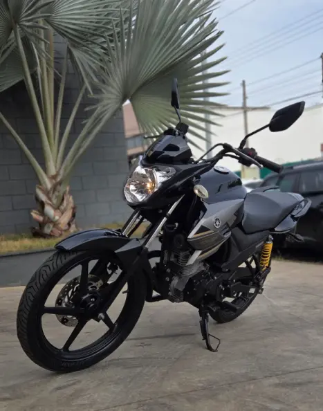 YAMAHA Fazer YS 150 SED, Foto 3