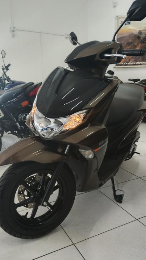 YAMAHA Fluo 125 ABS, Foto 3