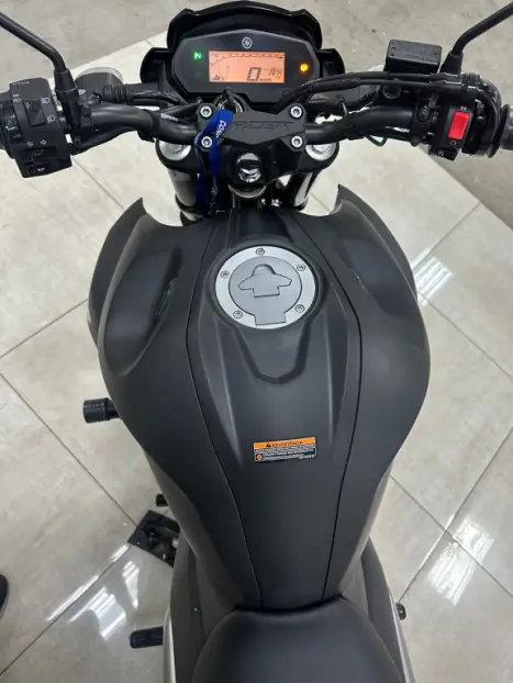 YAMAHA FZ 25 250 Fazer Flex , Foto 10