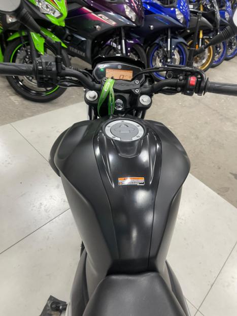 YAMAHA FZ 25 250 Fazer Flex , Foto 3