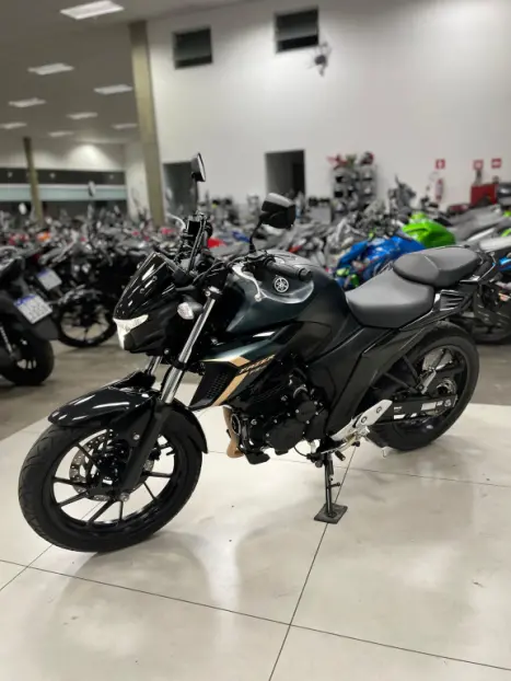 YAMAHA FZ 25 250 Fazer Flex , Foto 8