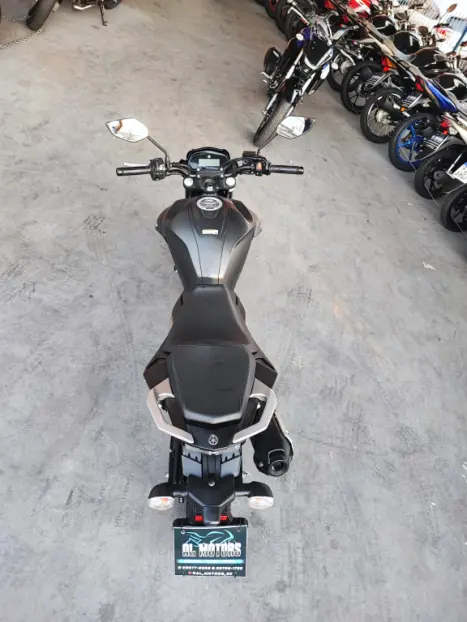 YAMAHA FZ 25 250 Fazer Flex , Foto 9