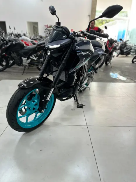 YAMAHA MT-03 300 , Foto 9