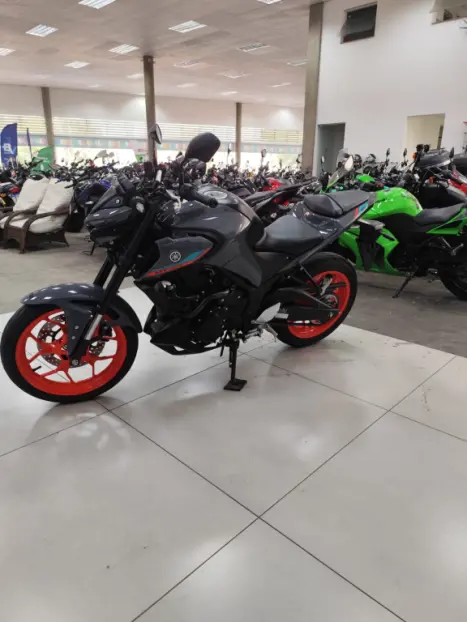 YAMAHA MT-03 300 , Foto 6