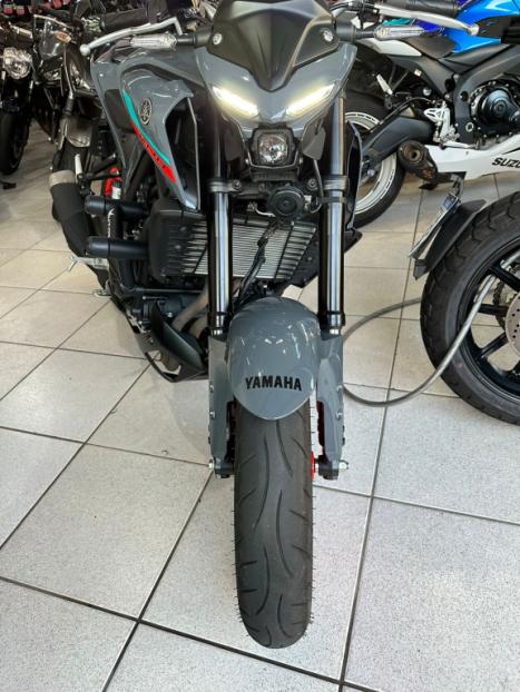 YAMAHA MT-03 300 ABS, Foto 9