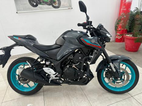 YAMAHA MT-03 300 ABS, Foto 1