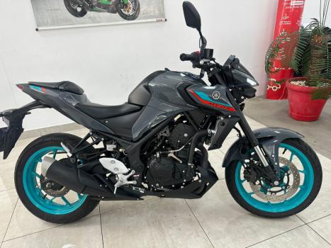 YAMAHA MT-03 300 ABS, Foto 3