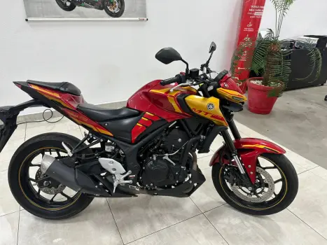 YAMAHA MT-03 300 ABS, Foto 2