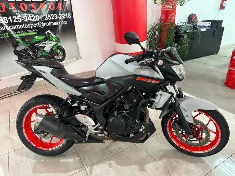 YAMAHA MT-03 300 ABS, Foto 28