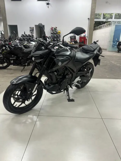 YAMAHA MT-03 300 ABS, Foto 13