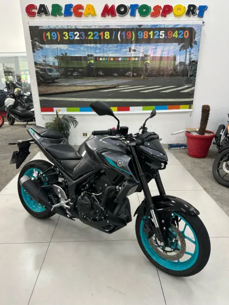 YAMAHA MT-03 300 ABS, Foto 1