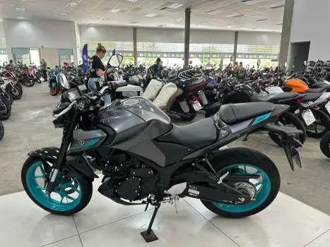 YAMAHA MT-03 300 ABS, Foto 17