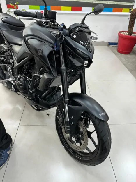 YAMAHA MT-03 300 ABS, Foto 12