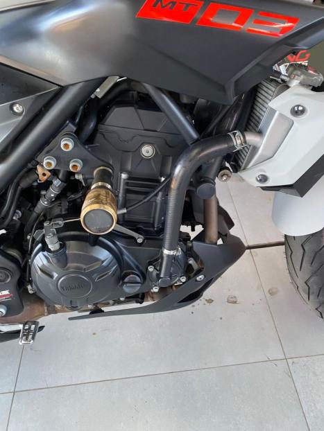 YAMAHA MT-03 300 ABS, Foto 3