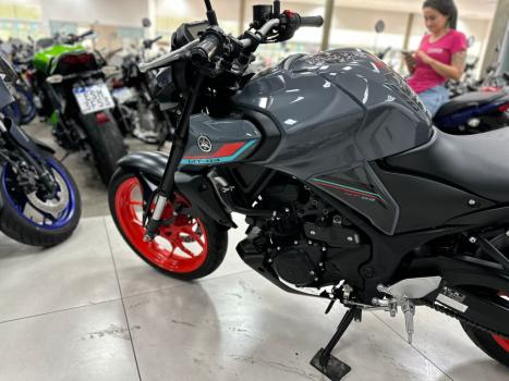 YAMAHA MT-03 300 ABS, Foto 8