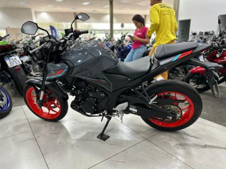 YAMAHA MT-03 300 ABS, Foto 9