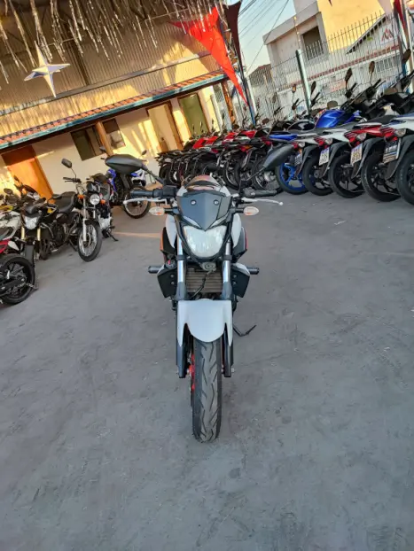 YAMAHA MT-03 300 ABS, Foto 7