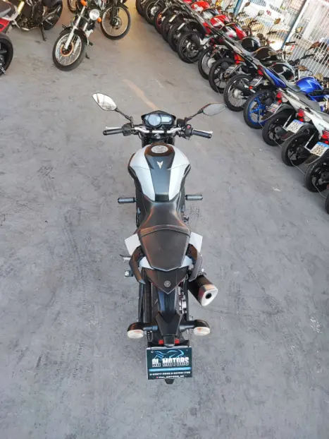 YAMAHA MT-03 300 ABS, Foto 8