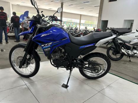 YAMAHA XTZ 250 LANDER, Foto 4