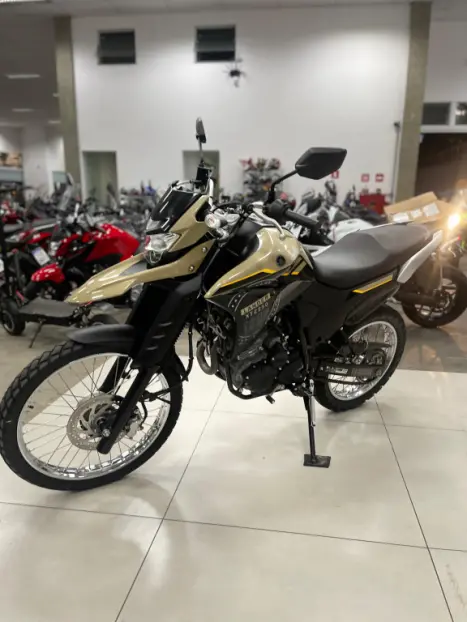 YAMAHA XTZ 250 LANDER, Foto 8