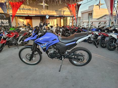 YAMAHA XTZ 250 LANDER, Foto 3