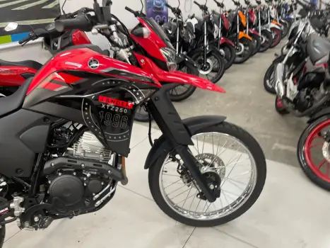 YAMAHA XTZ 250 LANDER, Foto 10