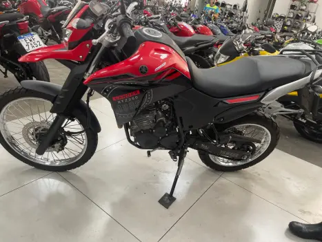 YAMAHA XTZ 250 LANDER, Foto 12