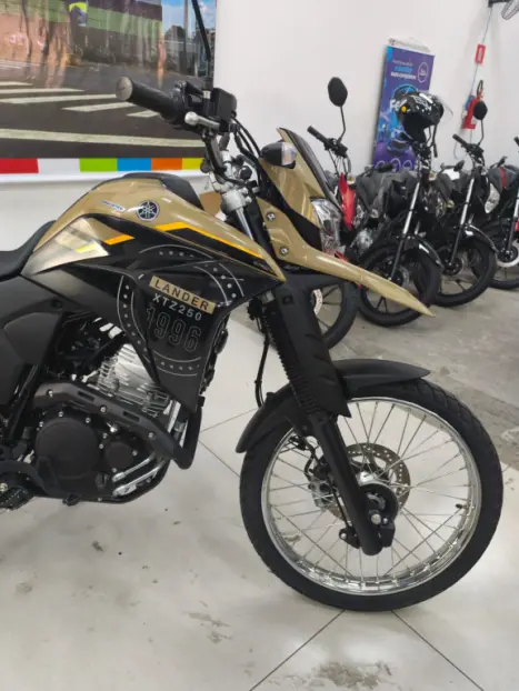 YAMAHA XTZ 250 LANDER, Foto 6