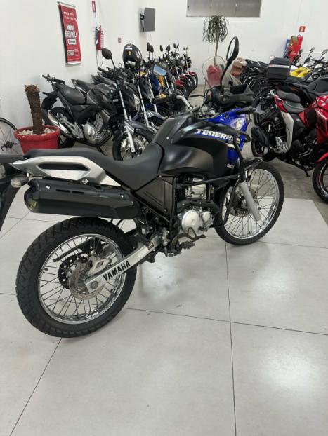 YAMAHA XTZ 250 TENER, Foto 8