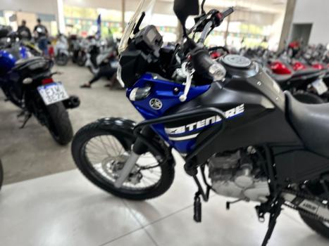 YAMAHA XTZ 250 TENER, Foto 3