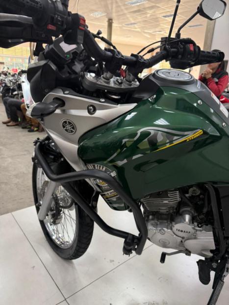 YAMAHA XTZ 250 TENER, Foto 5