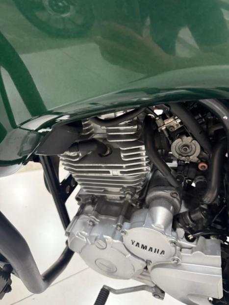YAMAHA XTZ 250 TENER, Foto 6