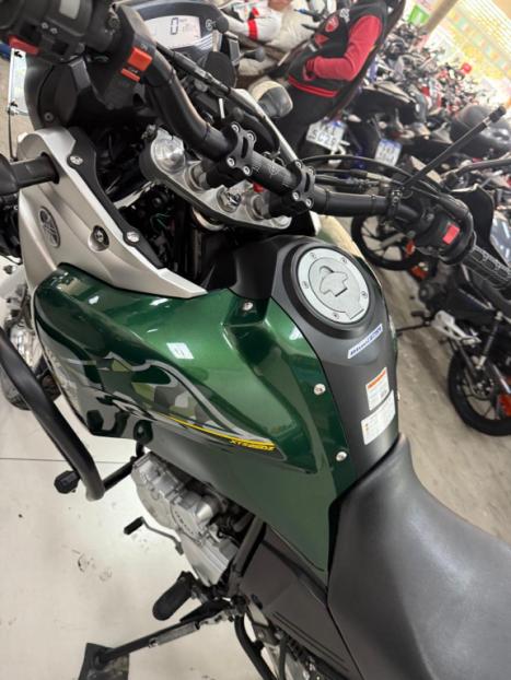 YAMAHA XTZ 250 TENER, Foto 13