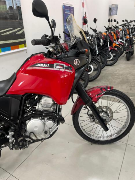 YAMAHA XTZ 250 TENER, Foto 7