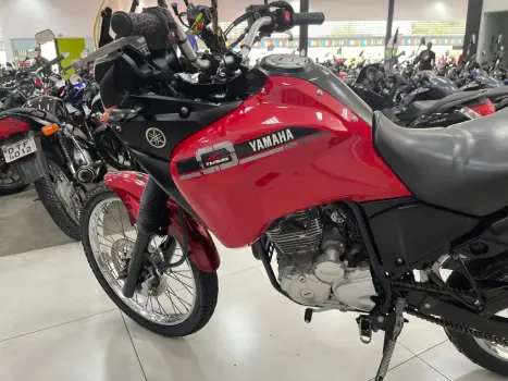 YAMAHA XTZ 250 TENER, Foto 11