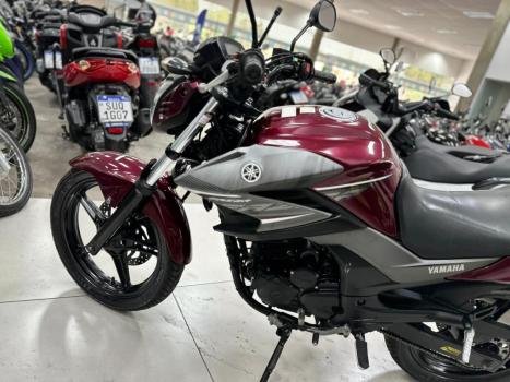 YAMAHA YS Fazer 250 BLUE FLEX, Foto 5