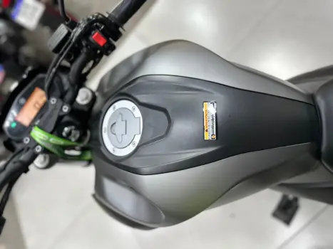 YAMAHA YS Fazer 250 , Foto 6