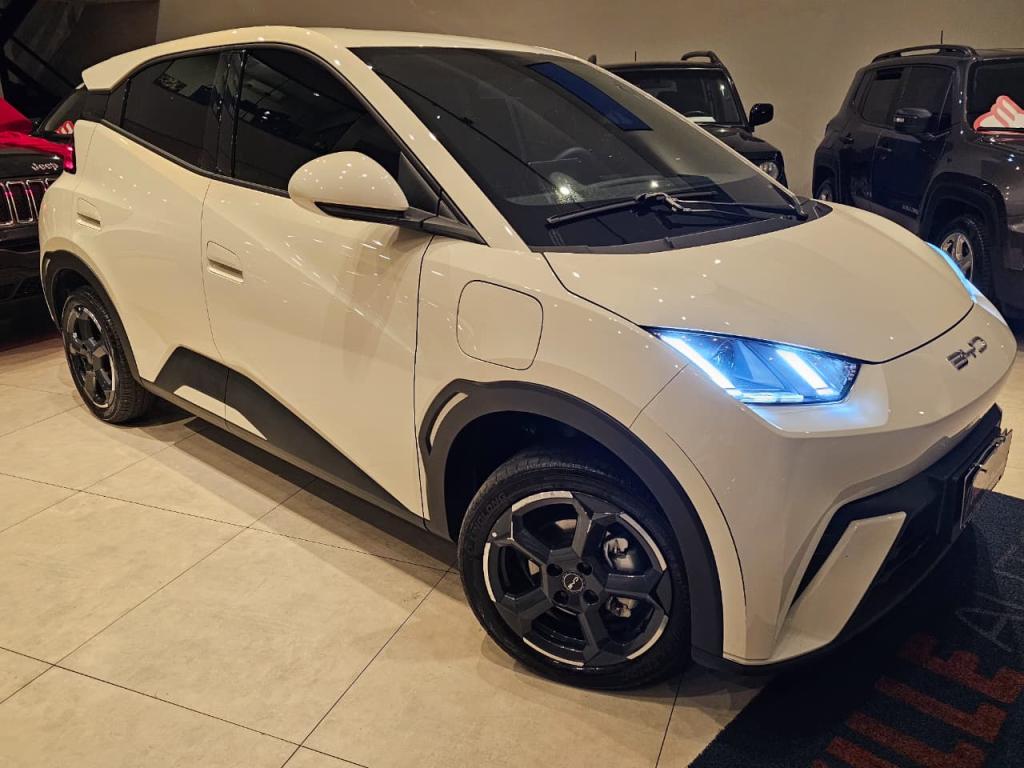 BYD Dolphin Mini - Foto