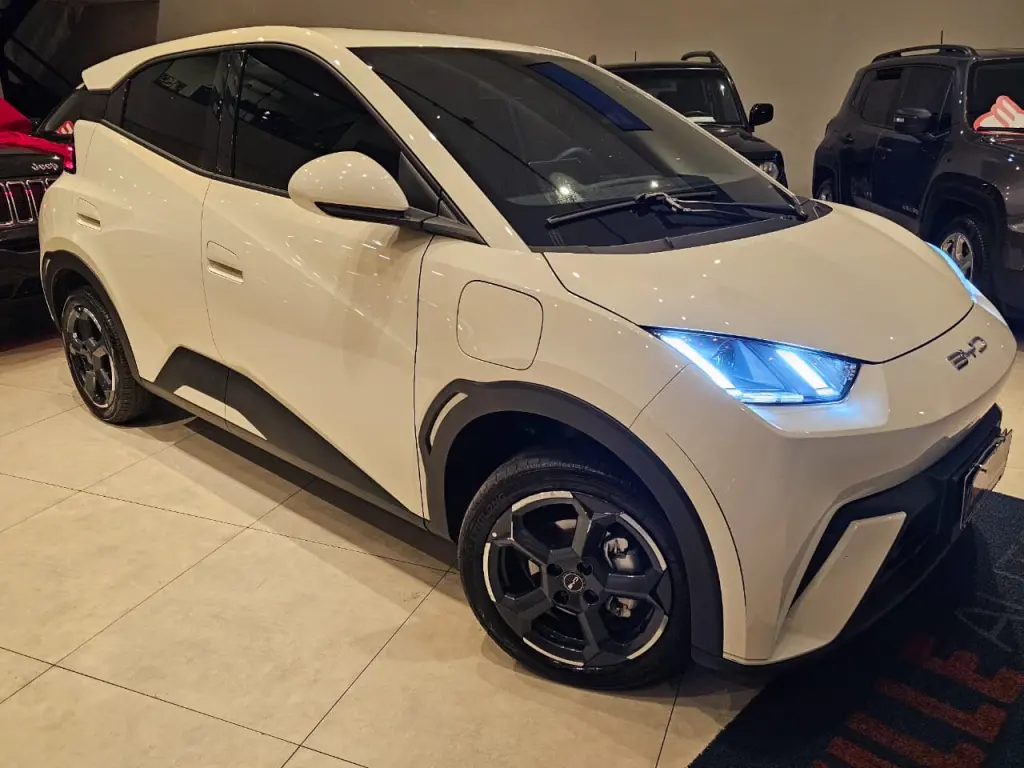 BYD Dolphin Mini - Foto