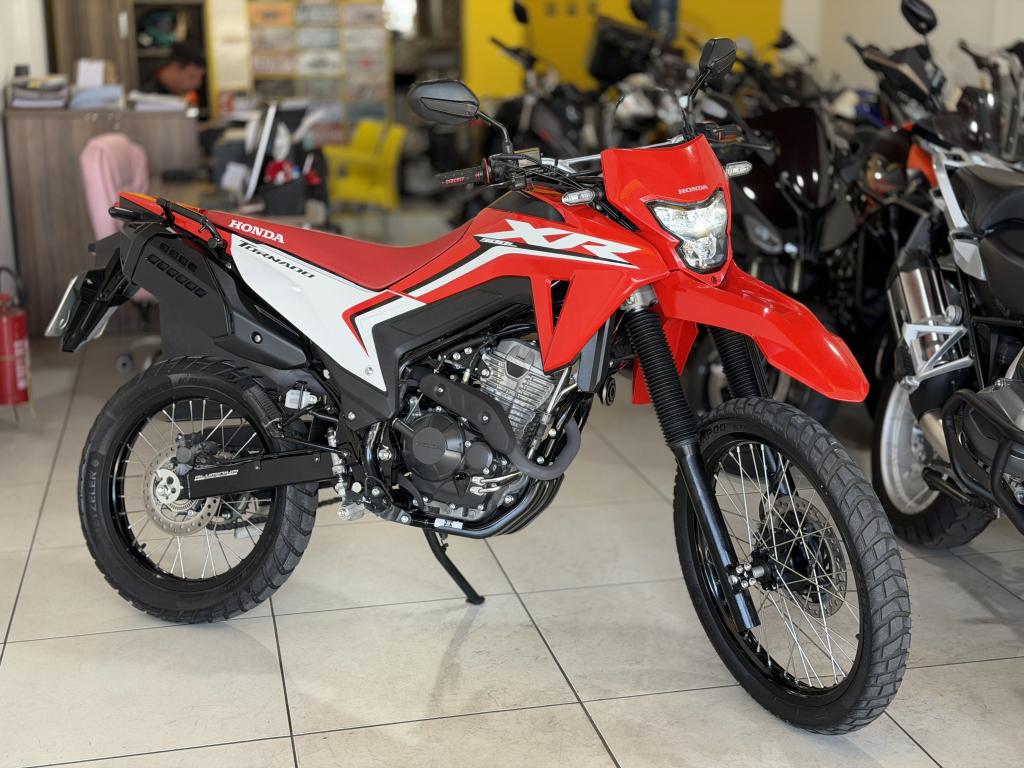 HONDA XR 300 L Tornado