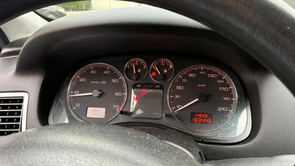 PEUGEOT 307 Hatch - Foto