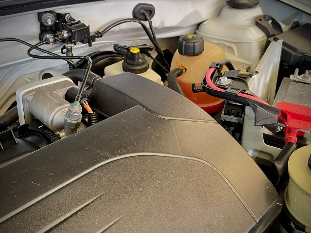 RENAULT Sandero - Foto