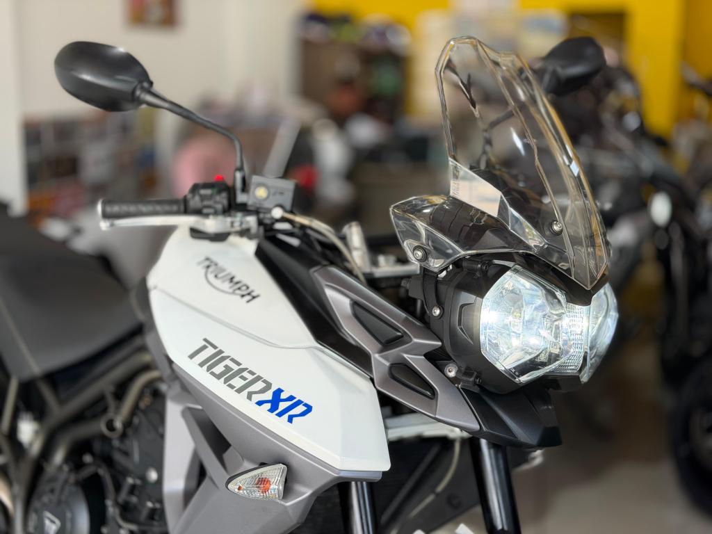 TRIUMPH Tiger 800 - Foto