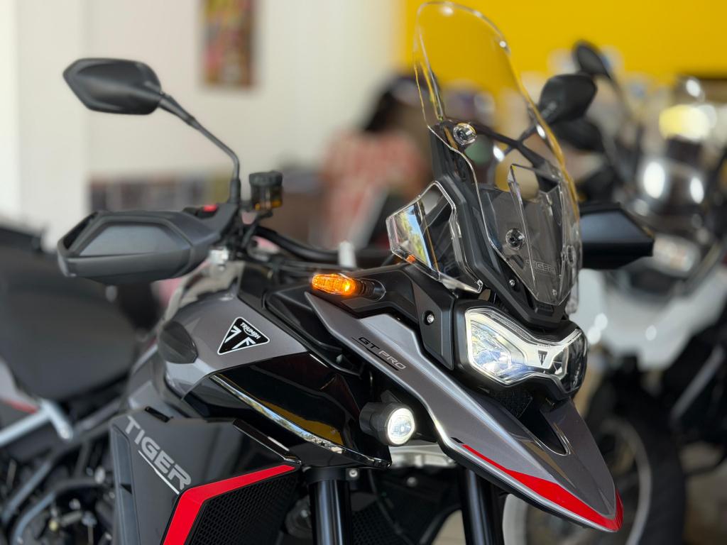 TRIUMPH Tiger 900 GT Pro - Foto