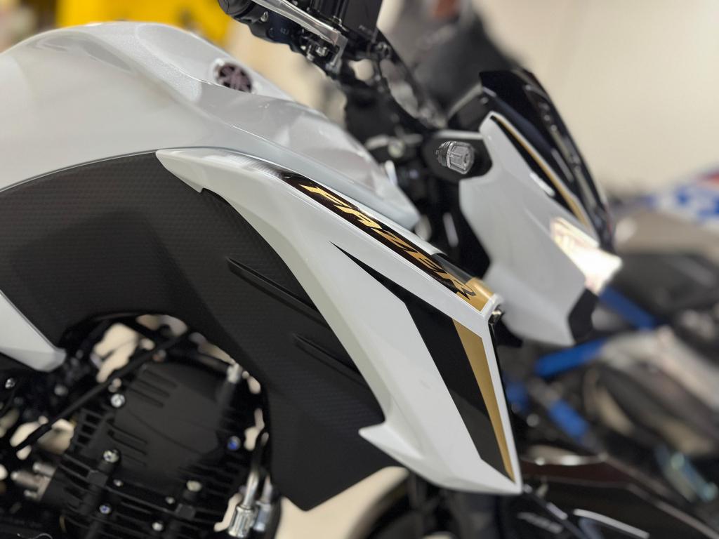 YAMAHA FZ 25 250 Fazer Flex - Foto