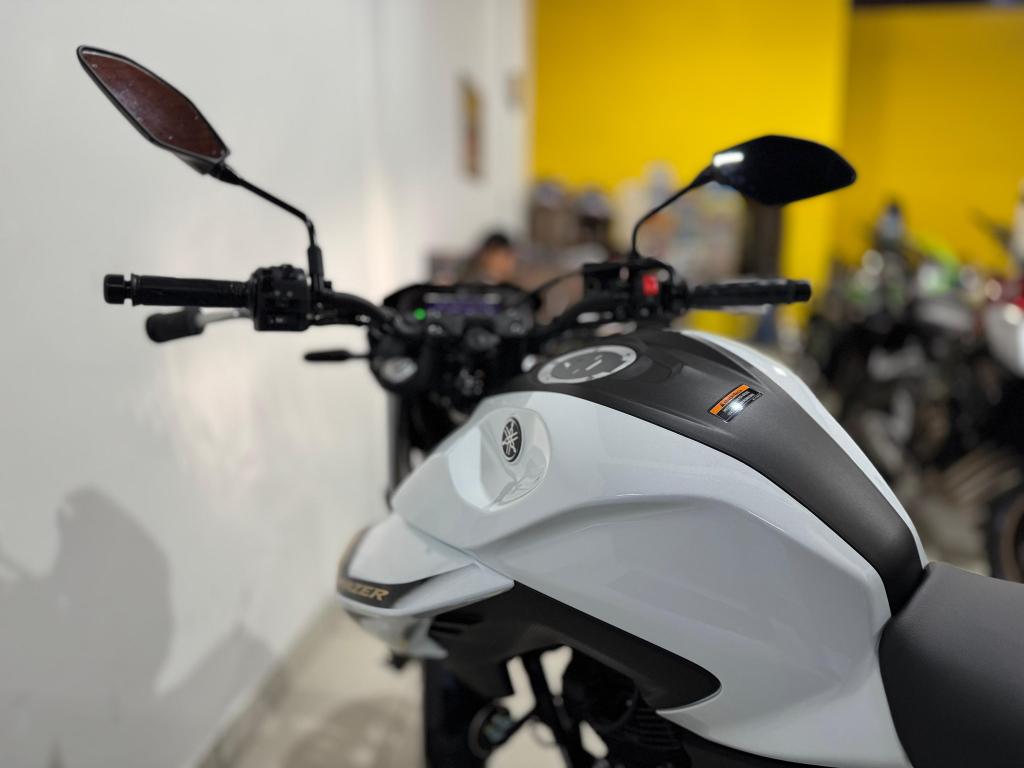 YAMAHA FZ 25 250 Fazer Flex - Foto