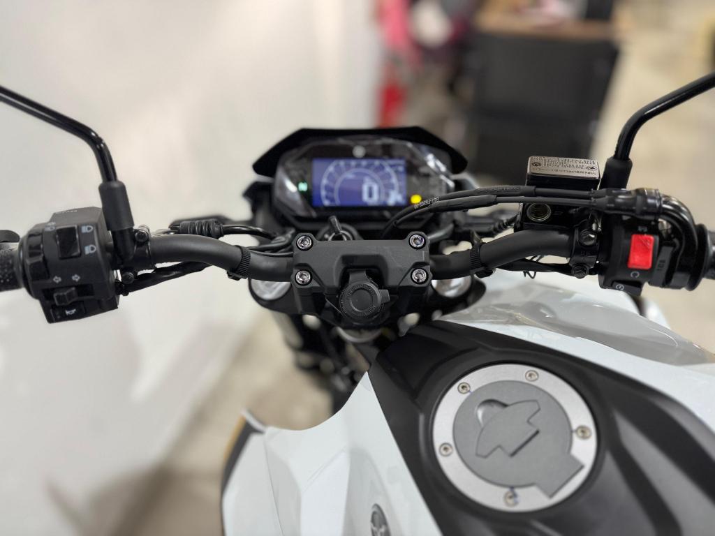 YAMAHA FZ 25 250 Fazer Flex - Foto