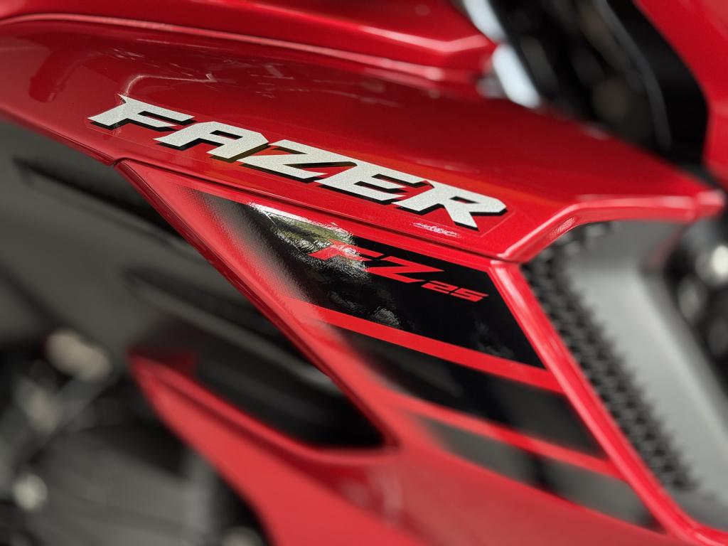 YAMAHA FZ 25 250 Fazer Flex - Foto