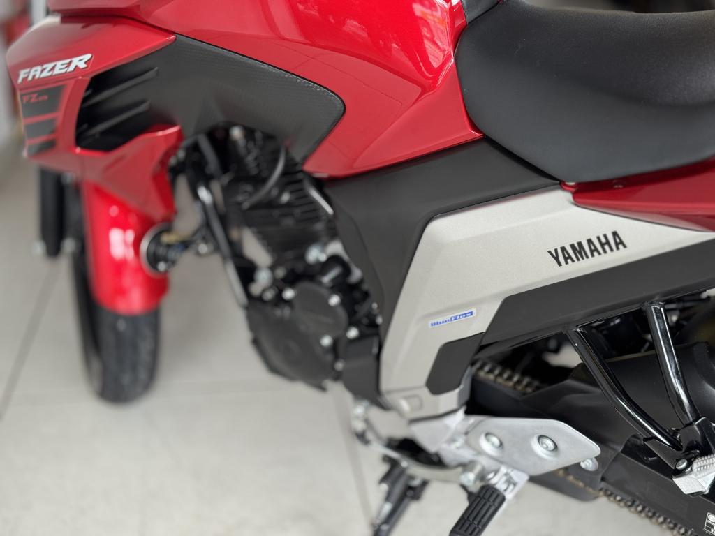 YAMAHA FZ 25 250 Fazer Flex - Foto