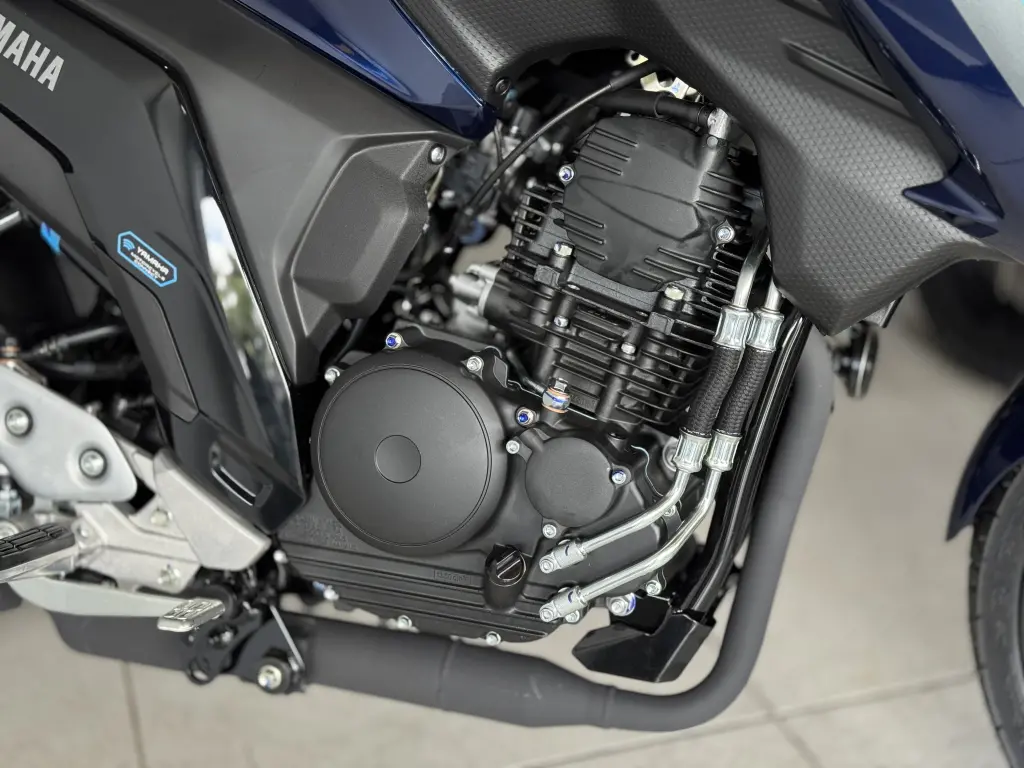 YAMAHA FZ 25 250 Fazer Flex - Foto
